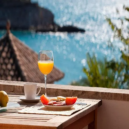 Hotel Paguera Treff Boutique 4*